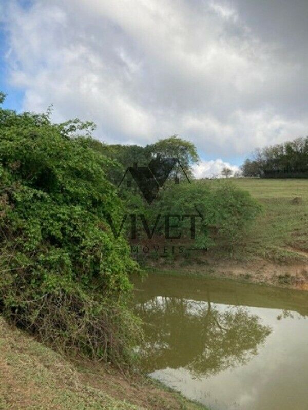 Sítio, 3 hectares - Foto 17