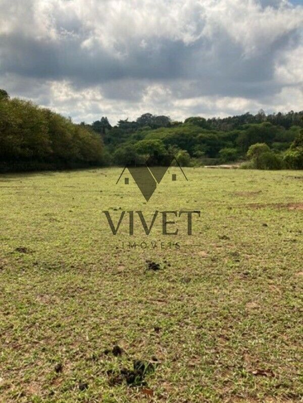 Sítio, 3 hectares - Foto 12