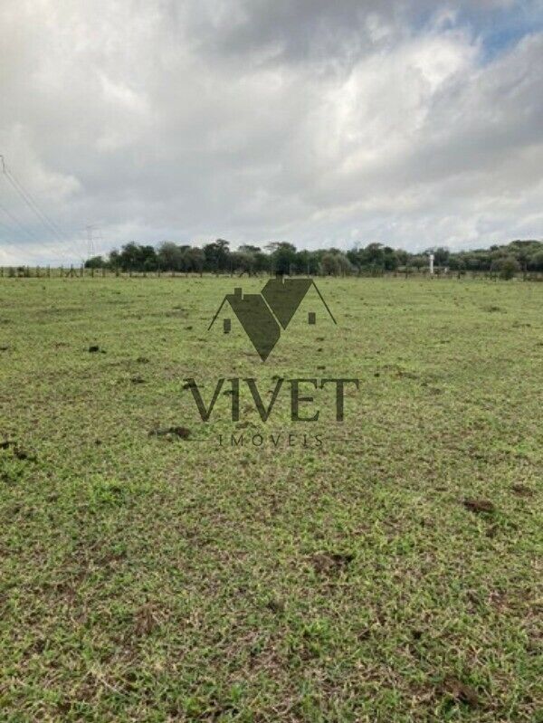 Sítio, 3 hectares - Foto 16