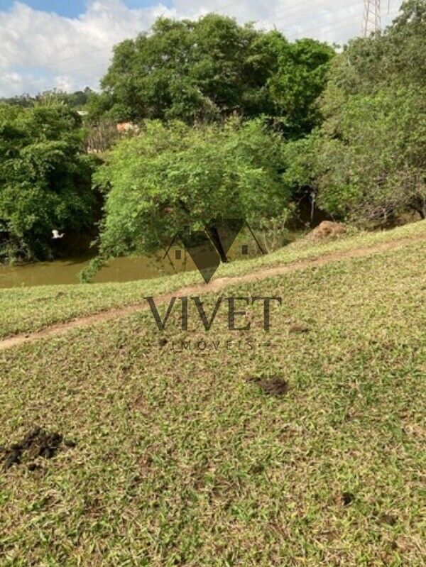 Sítio, 3 hectares - Foto 7