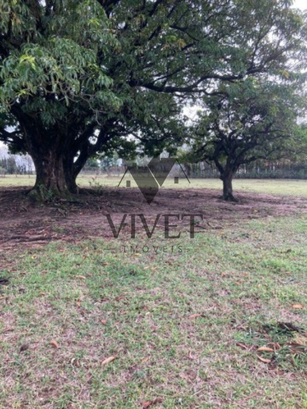 Sítio, 3 hectares - Foto 6