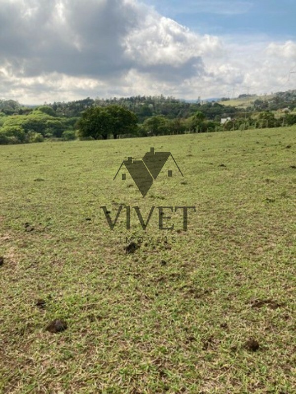 Sítio, 3 hectares - Foto 8