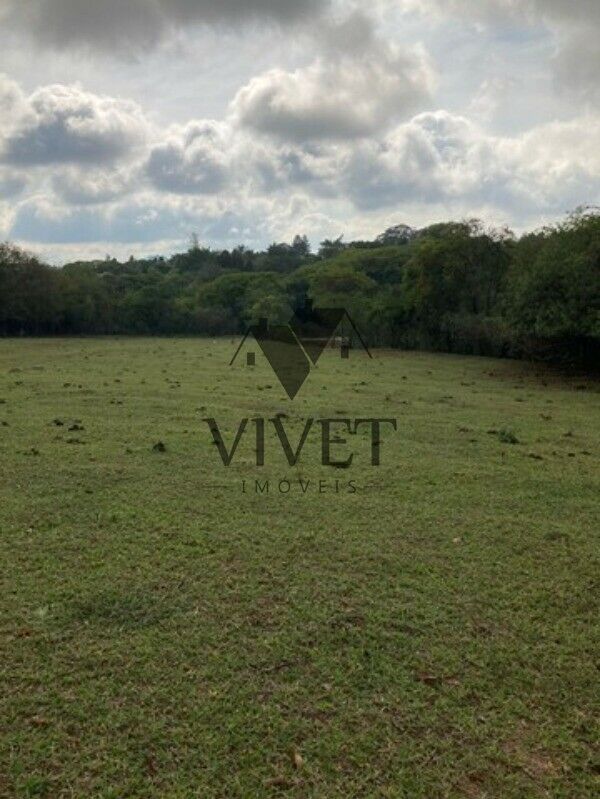 Sítio, 3 hectares - Foto 4