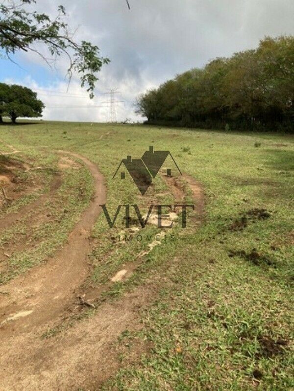 Sítio, 3 hectares - Foto 11