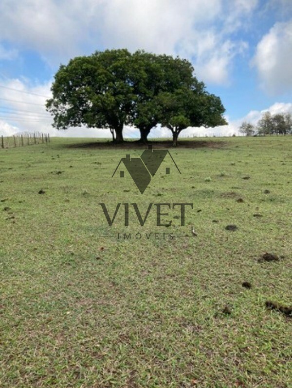 Sítio, 3 hectares - Foto 16