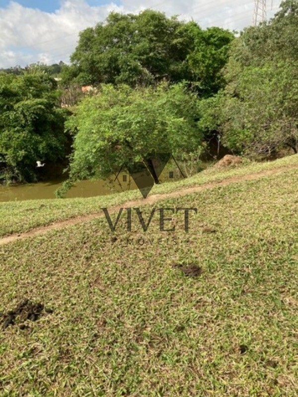 Sítio, 3 hectares - Foto 15