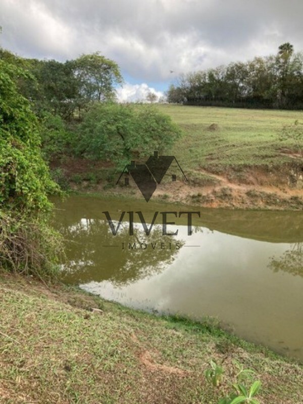 Sítio, 3 hectares - Foto 4