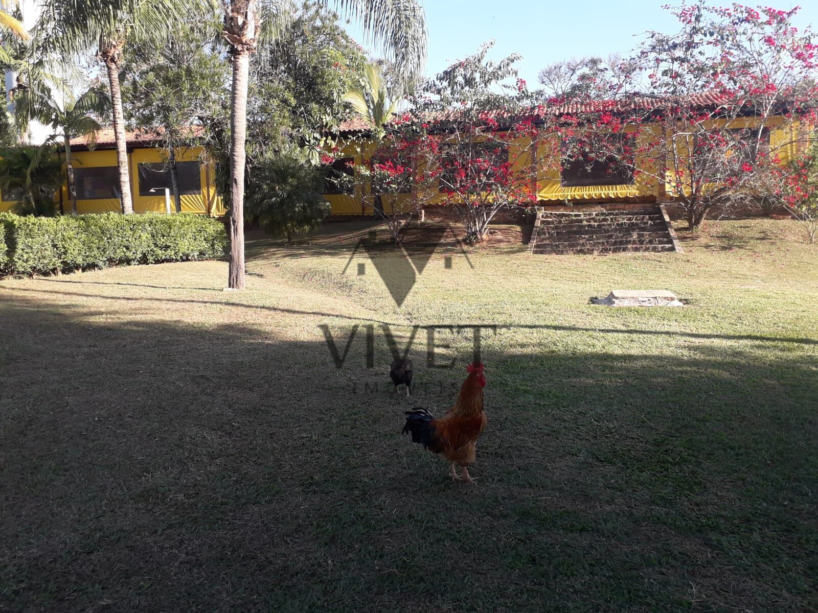 Loteamento e Condomínio, 5 hectares - Foto 10