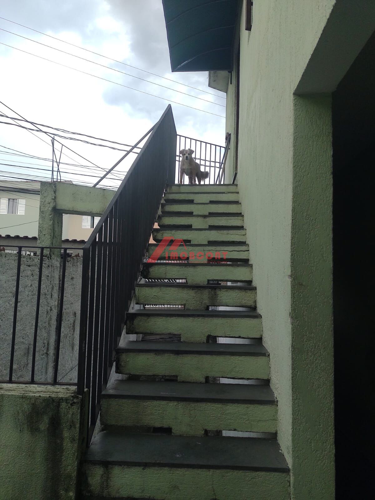 Casa à venda com 5 quartos, 126m² - Foto 16