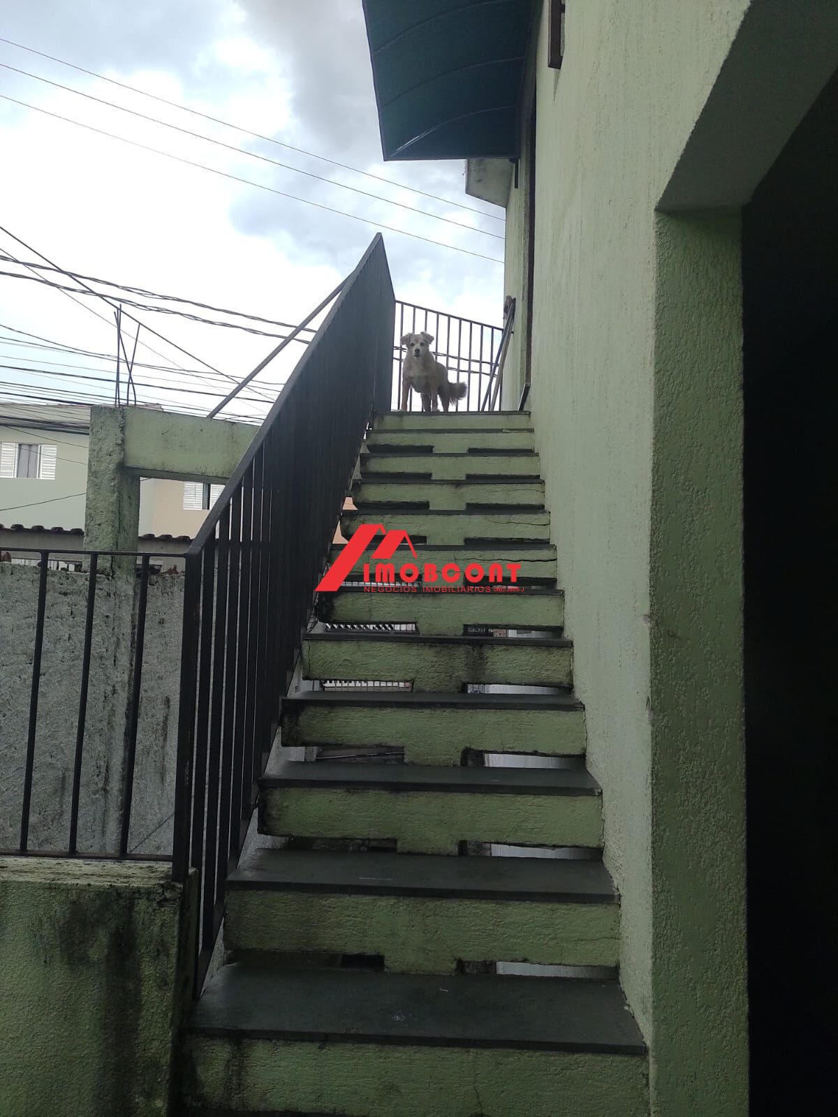 Casa, 5 quartos, 126 m² - Foto 16