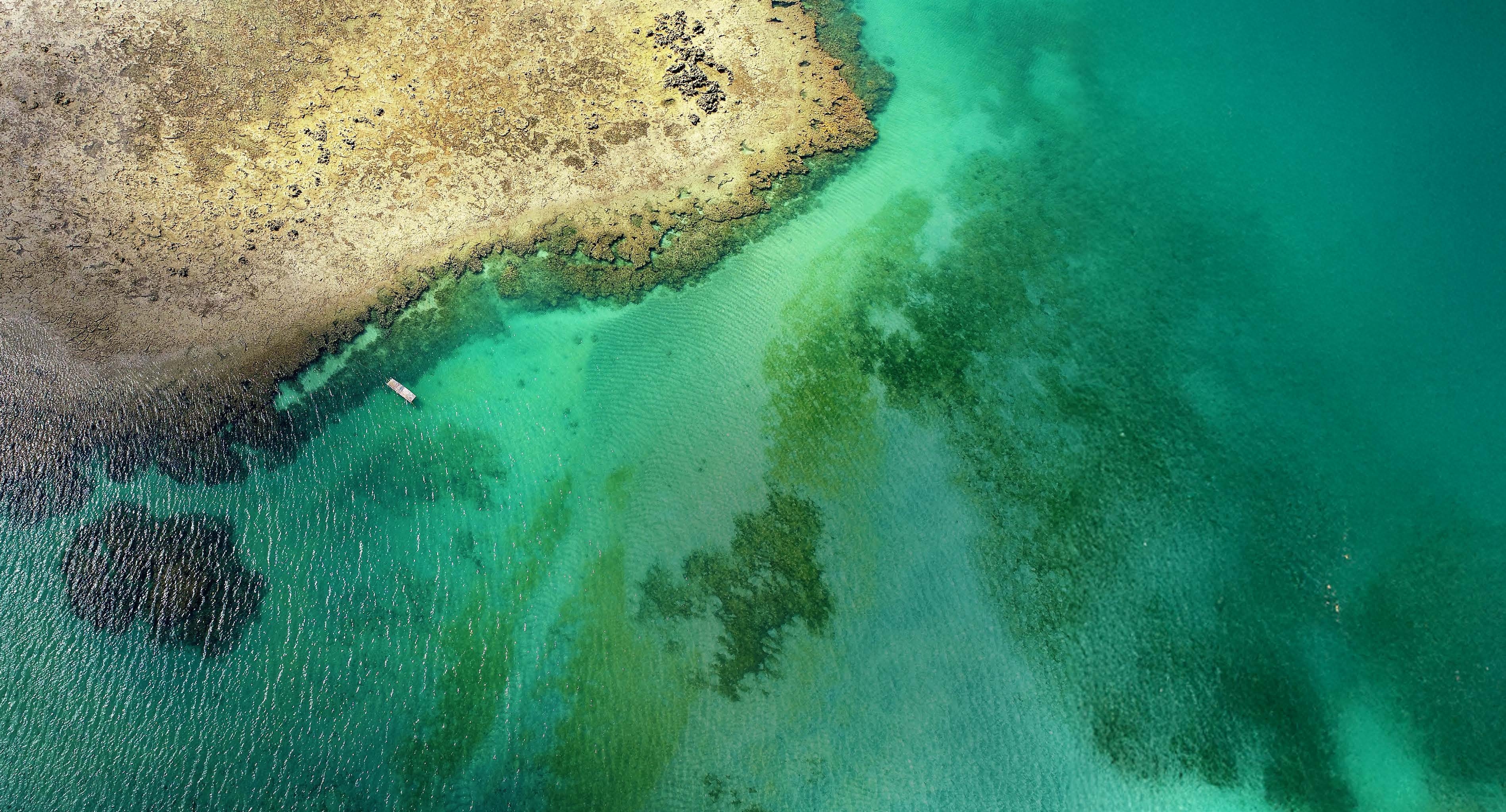 Dalla negócios Imobiliários