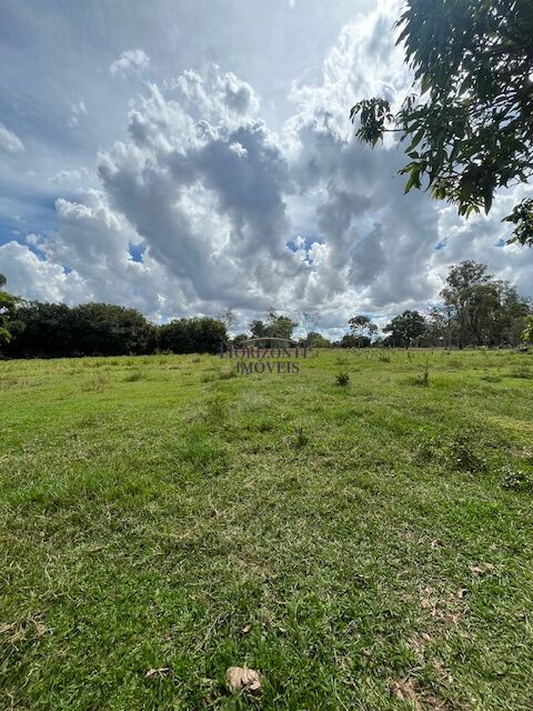 Sítio, 10 hectares - Foto 11
