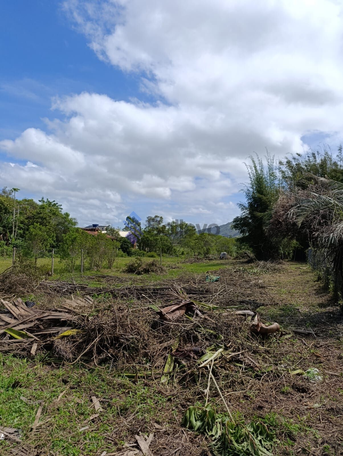 Terreno, 1185 m² - Foto 1