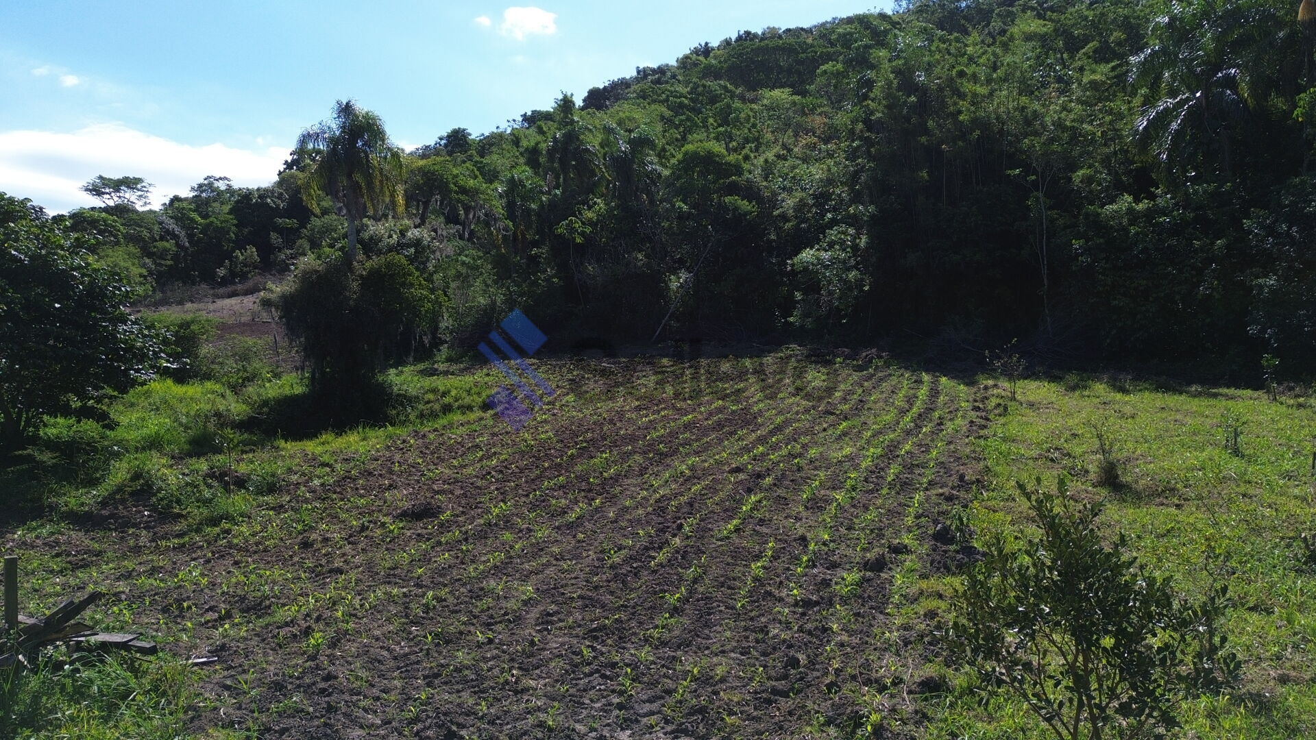 Terreno à venda, 70000m² - Foto 13