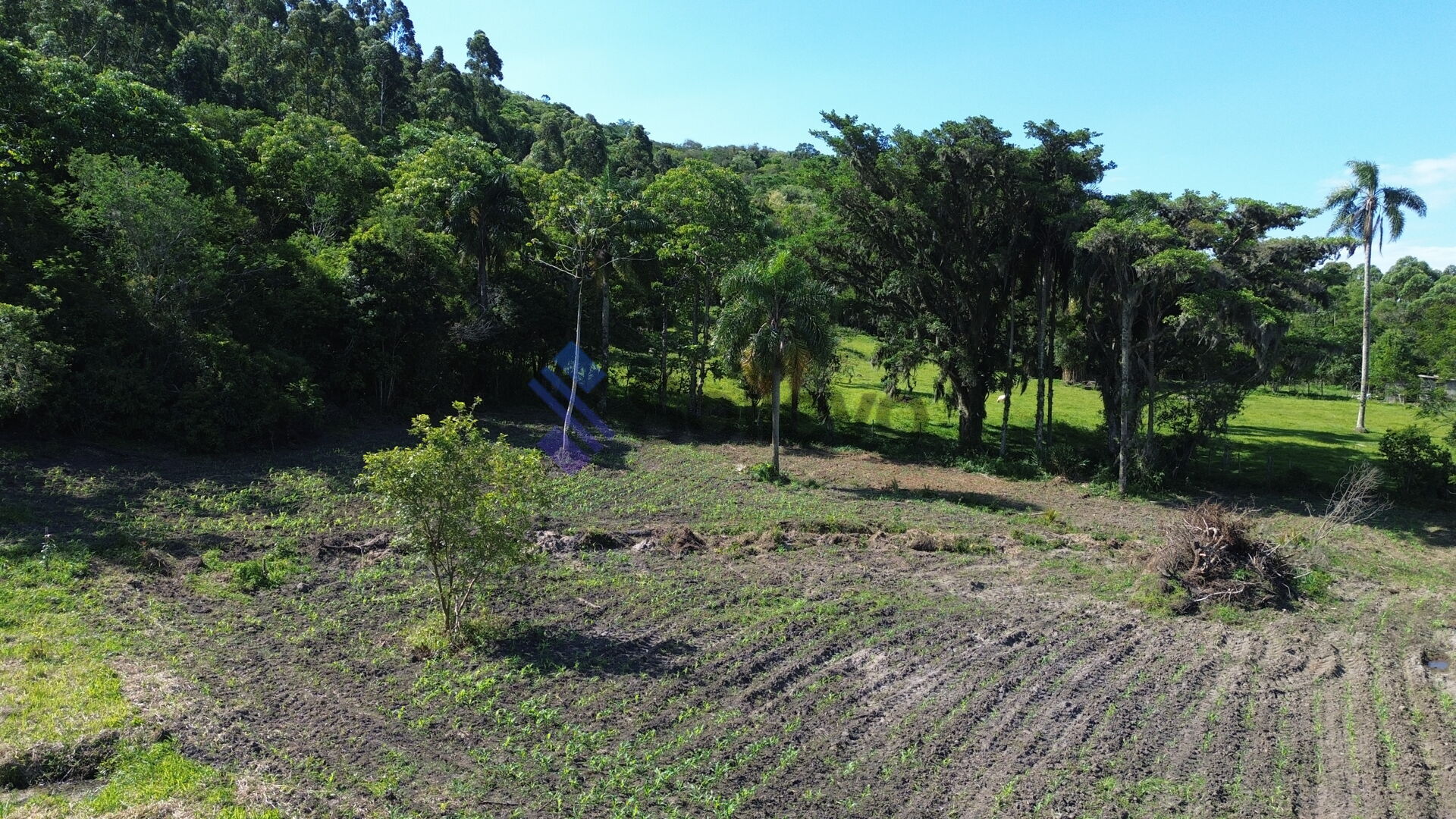 Terreno à venda, 70000m² - Foto 16