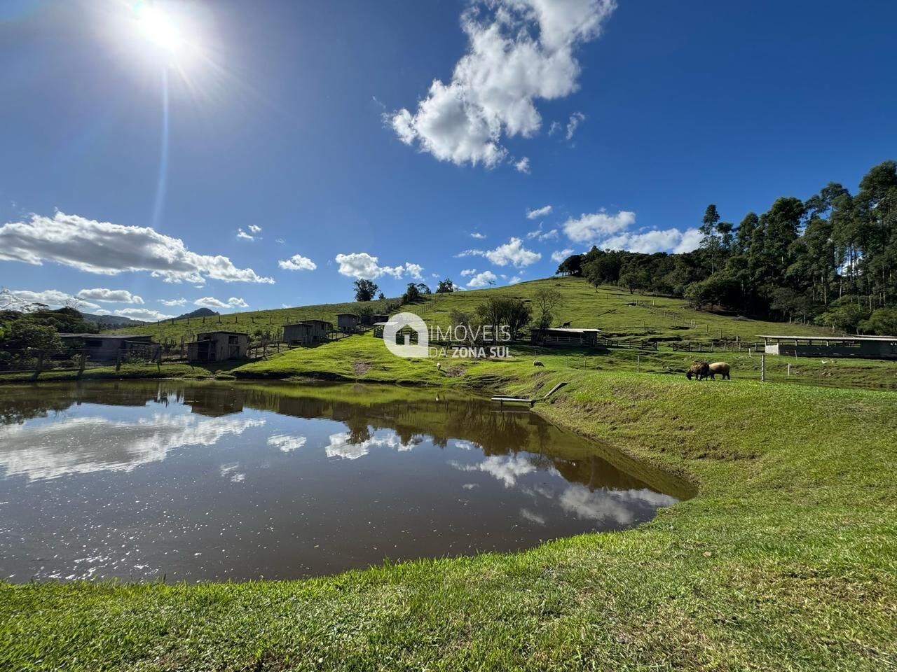 Chácara, 4 quartos, 3 hectares - Foto 2