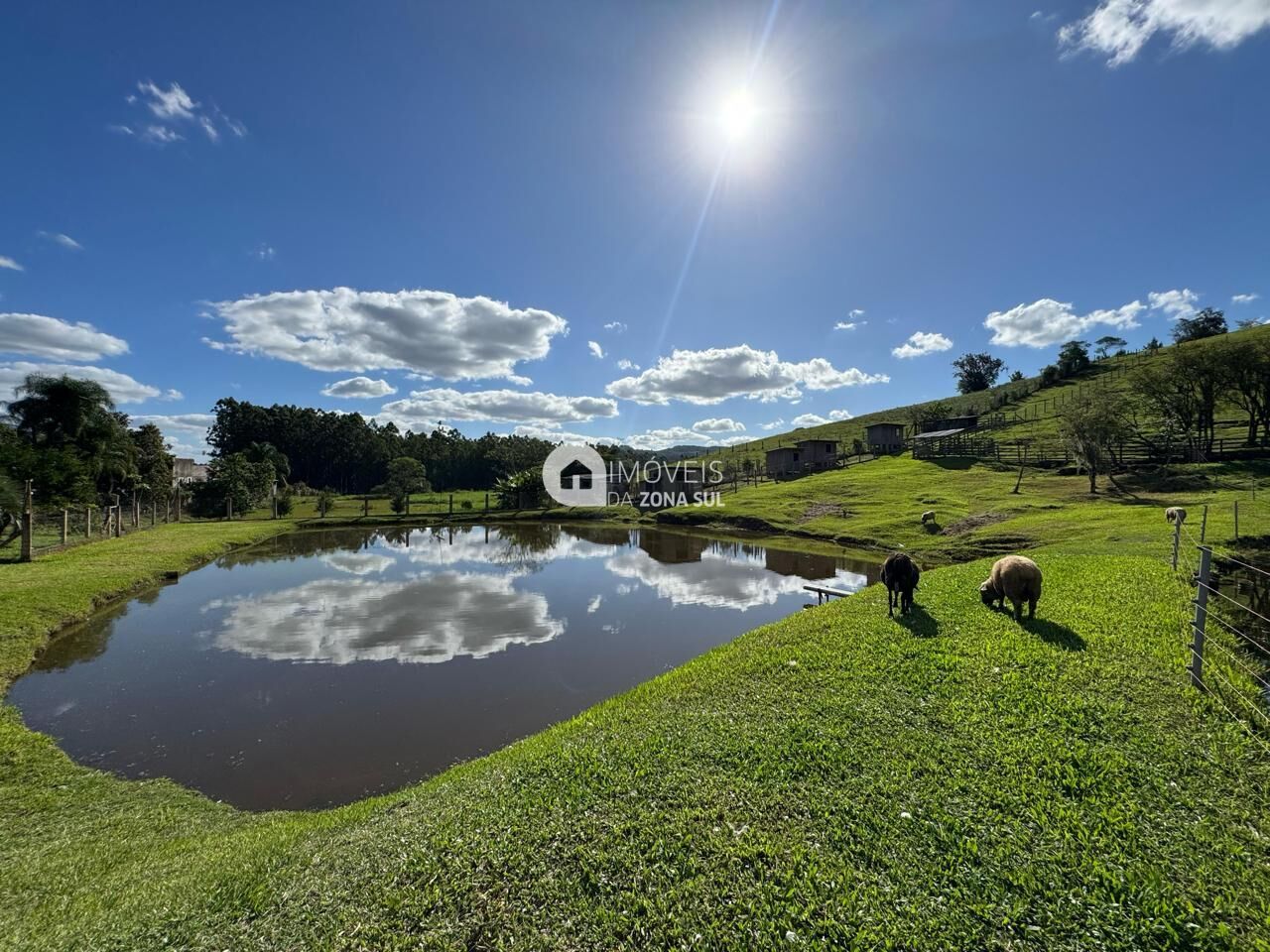 Chácara, 4 quartos, 3 hectares - Foto 3