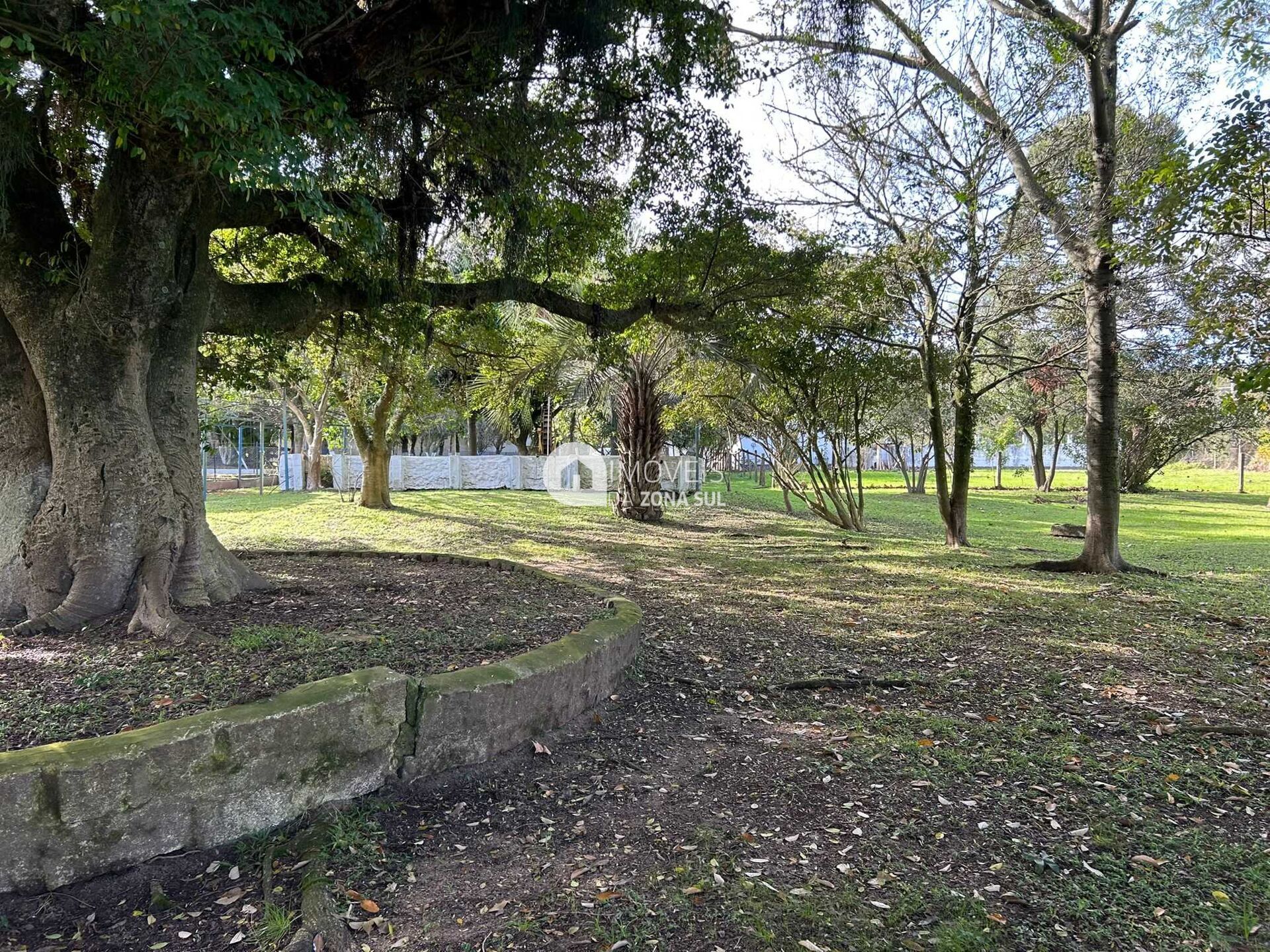 Terreno, 1001 m² - Foto 6