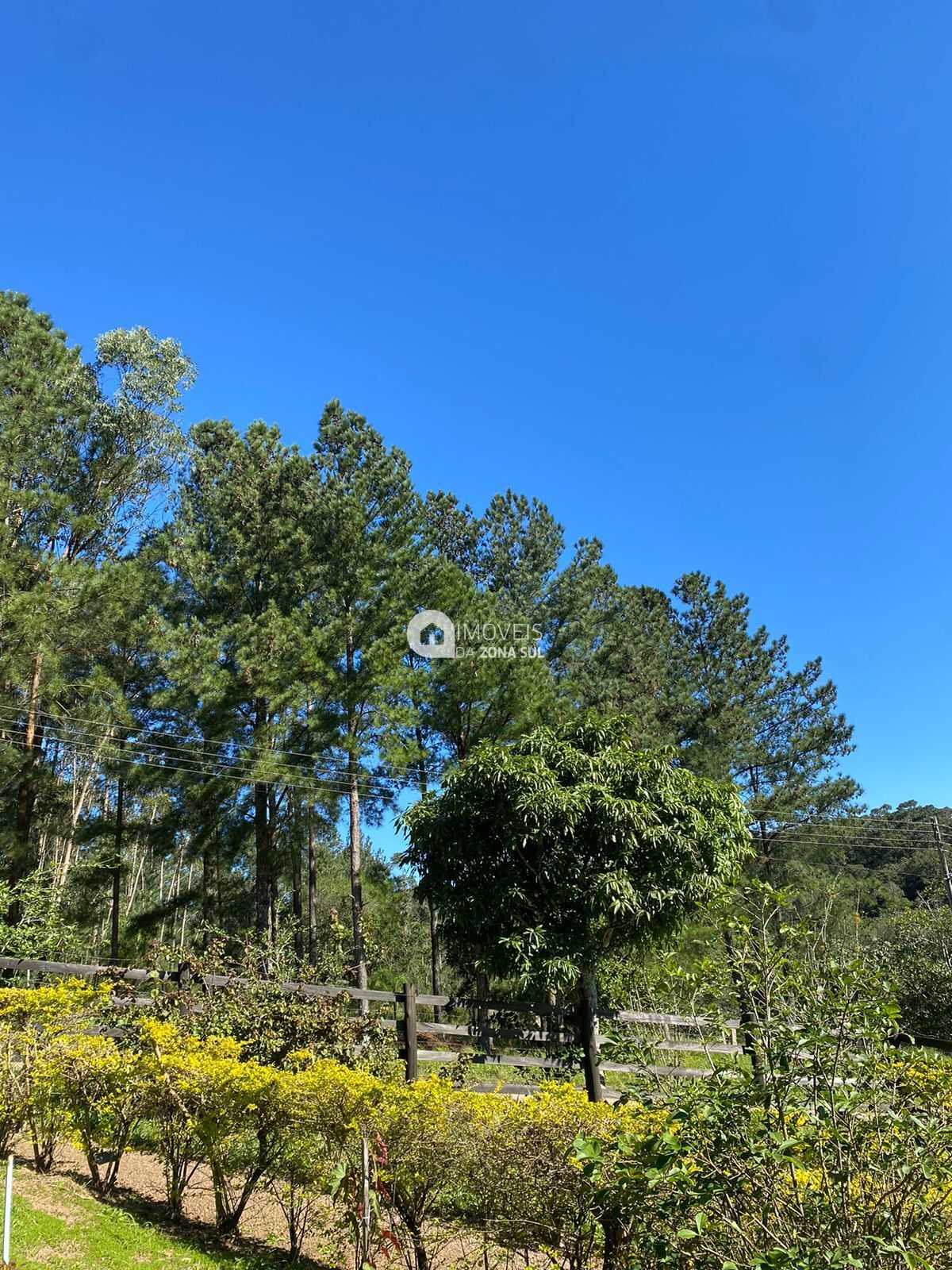 Fazenda à venda, 5000m² - Foto 9