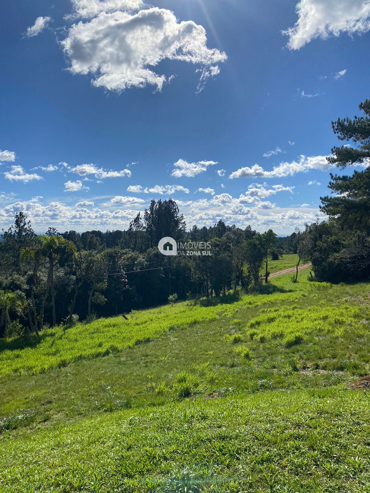 Fazenda à venda, 5000m² - Foto 3