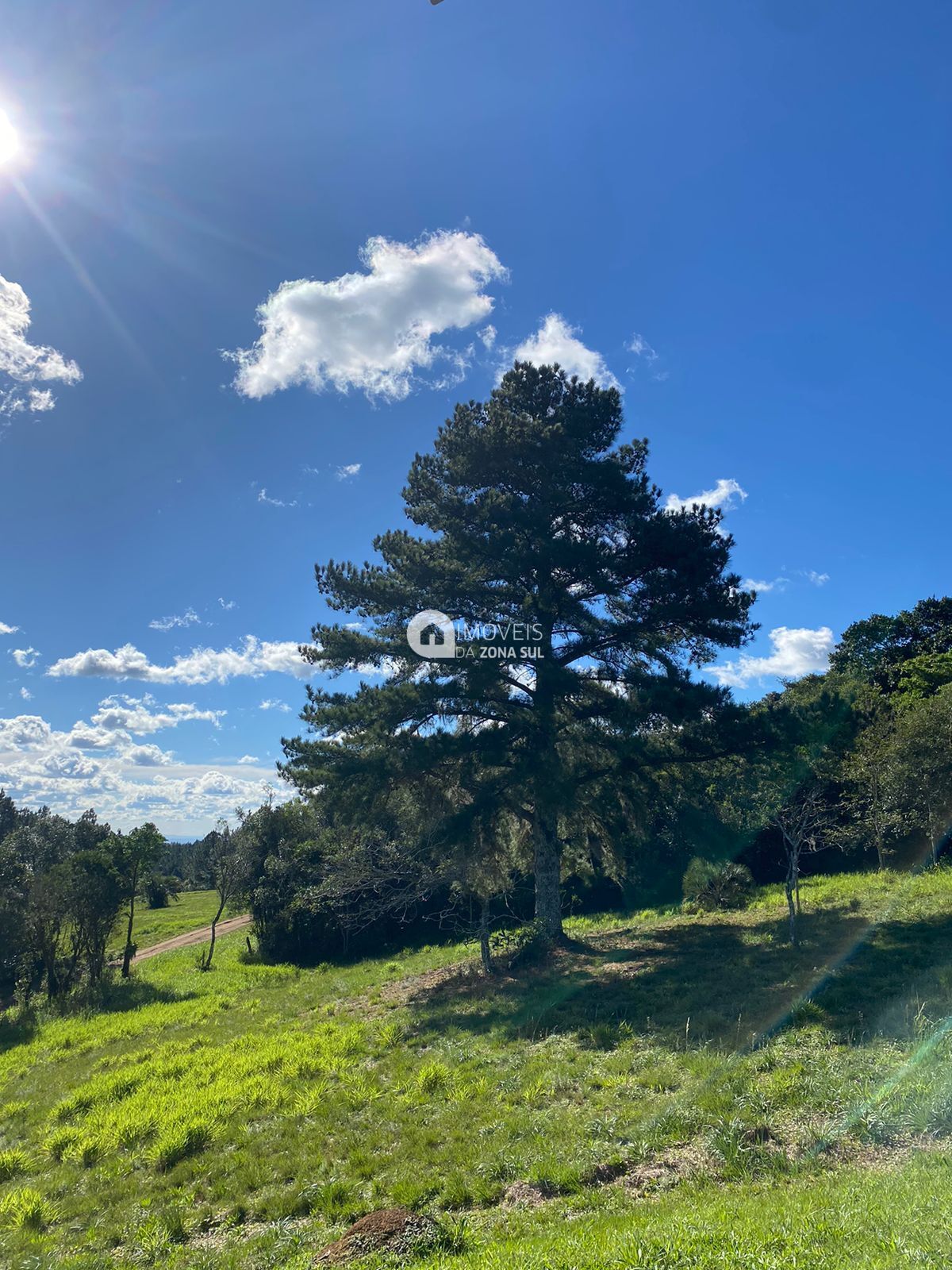 Fazenda à venda, 5000m² - Foto 4