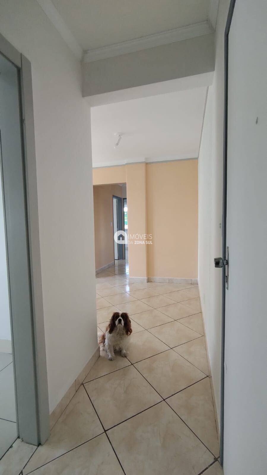 Apartamento, 3 quartos, 70 m² - Foto 6