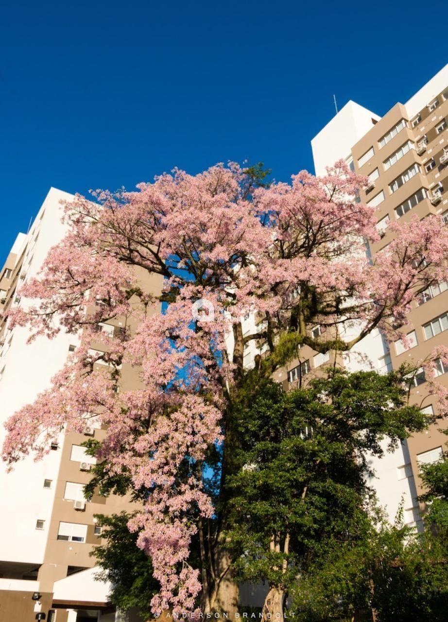 Apartamento, 3 quartos, 73 m² - Foto 21