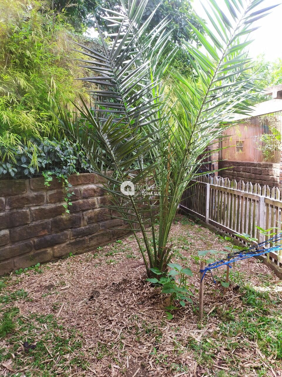 Casa, 3 quartos, 130 m² - Foto 21