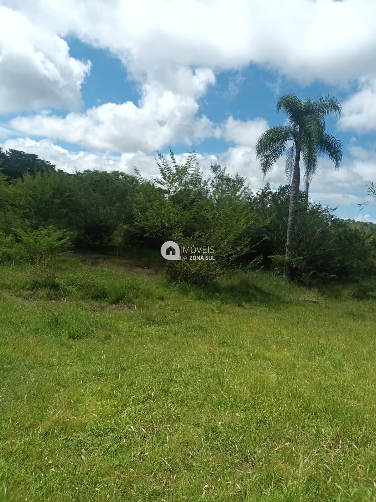 Fazenda à venda com 2 quartos, 10000m² - Foto 10