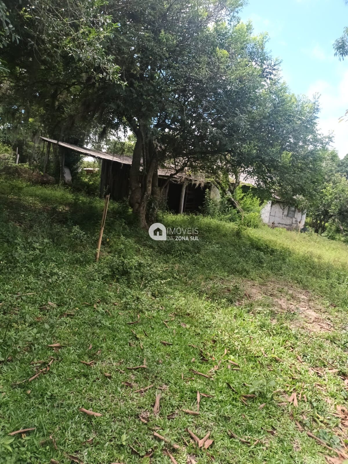 Fazenda à venda com 2 quartos, 10000m² - Foto 6