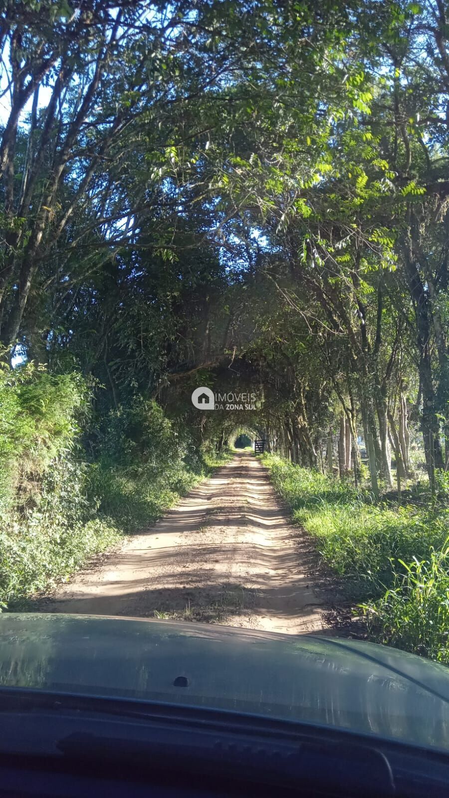 Fazenda à venda com 2 quartos, 10000m² - Foto 1