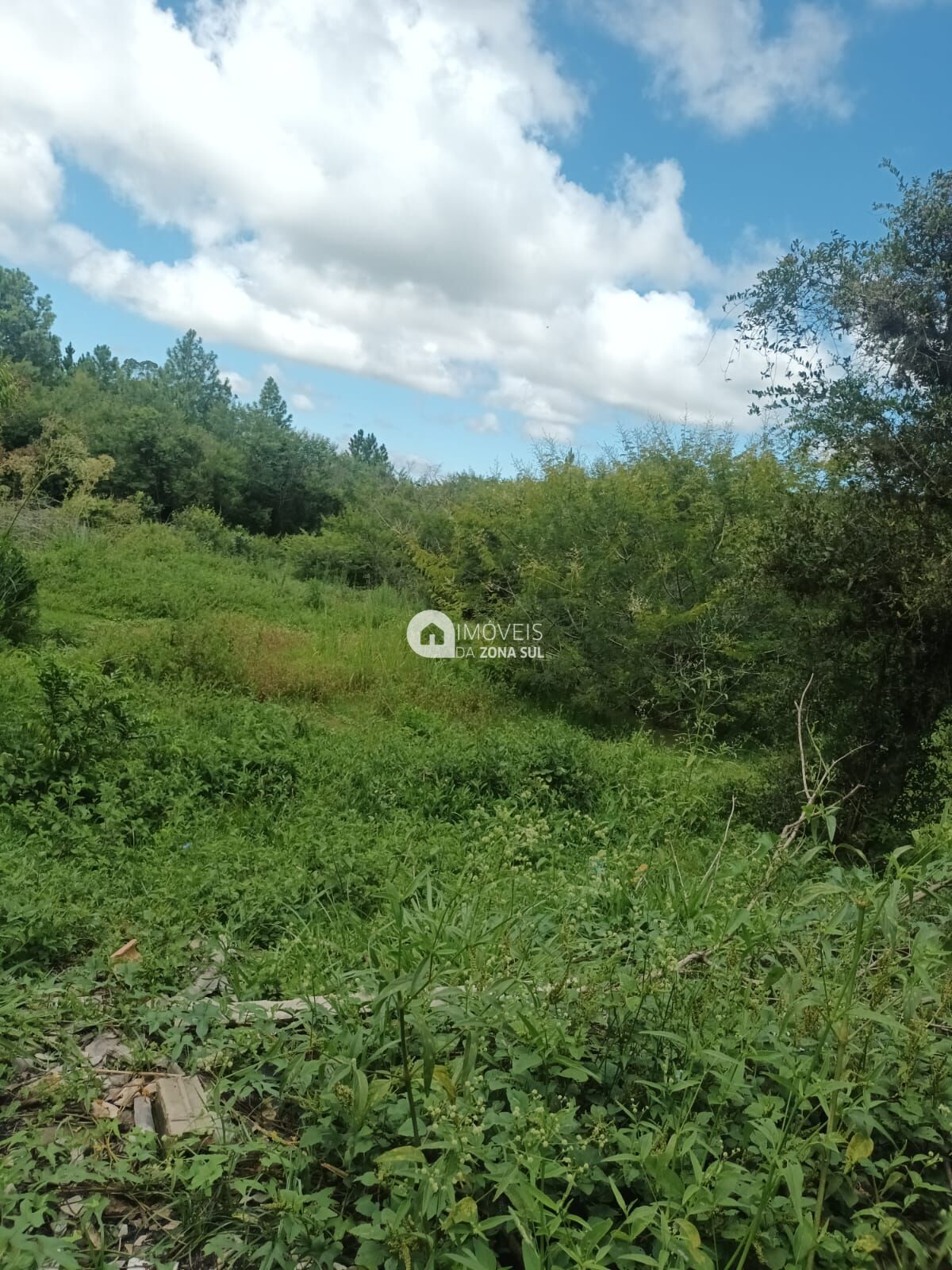 Fazenda à venda com 2 quartos, 10000m² - Foto 7