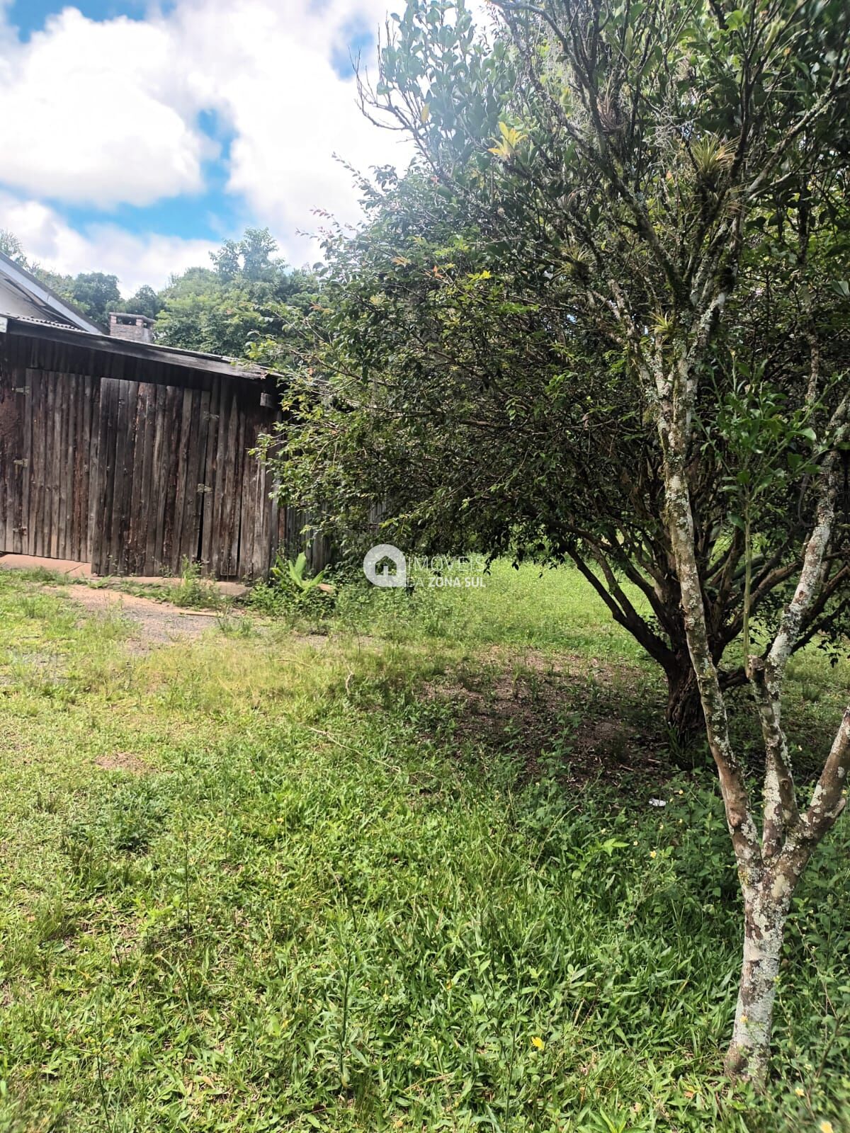 Fazenda à venda com 2 quartos, 10000m² - Foto 5