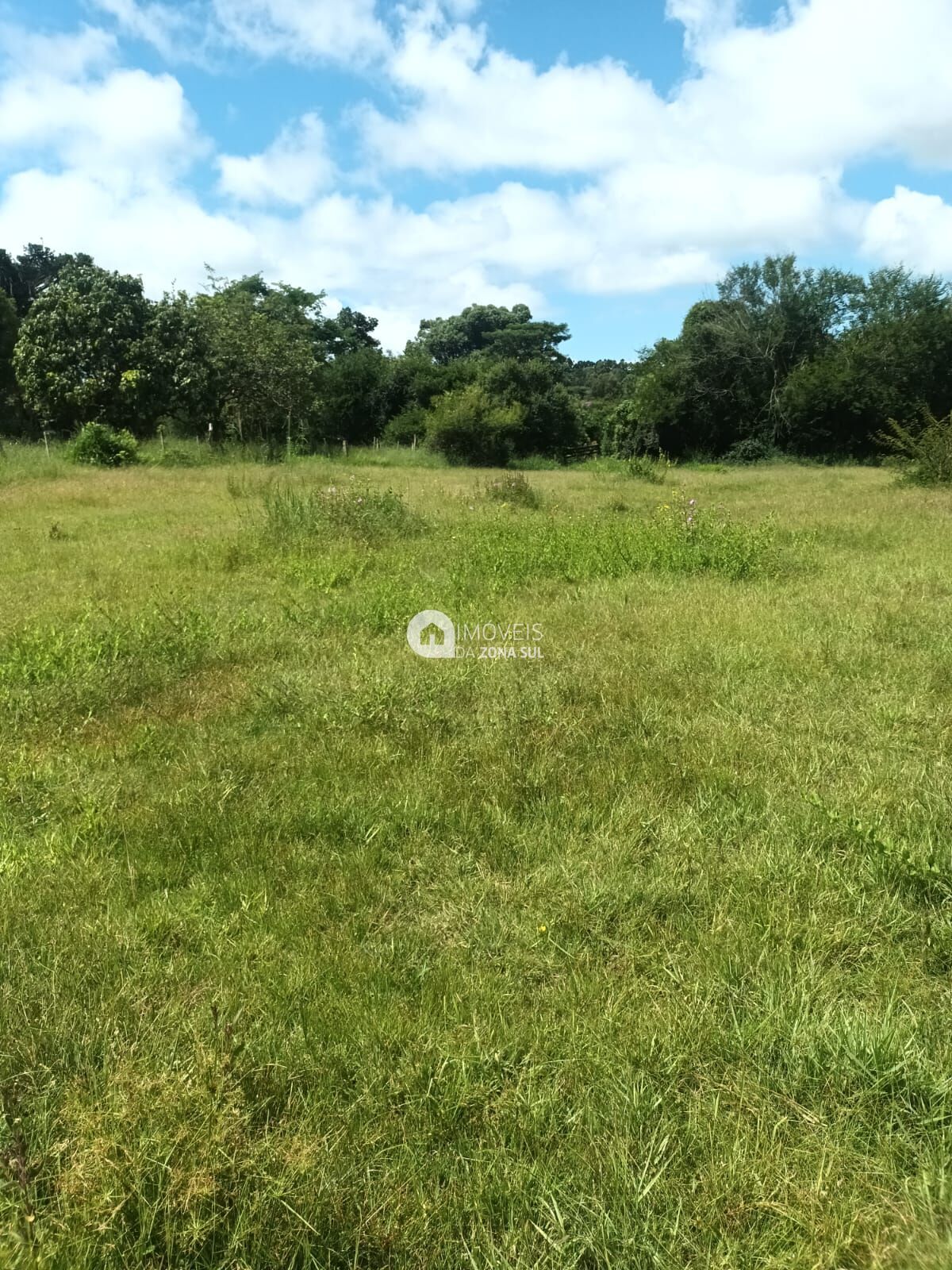 Fazenda à venda com 2 quartos, 10000m² - Foto 8