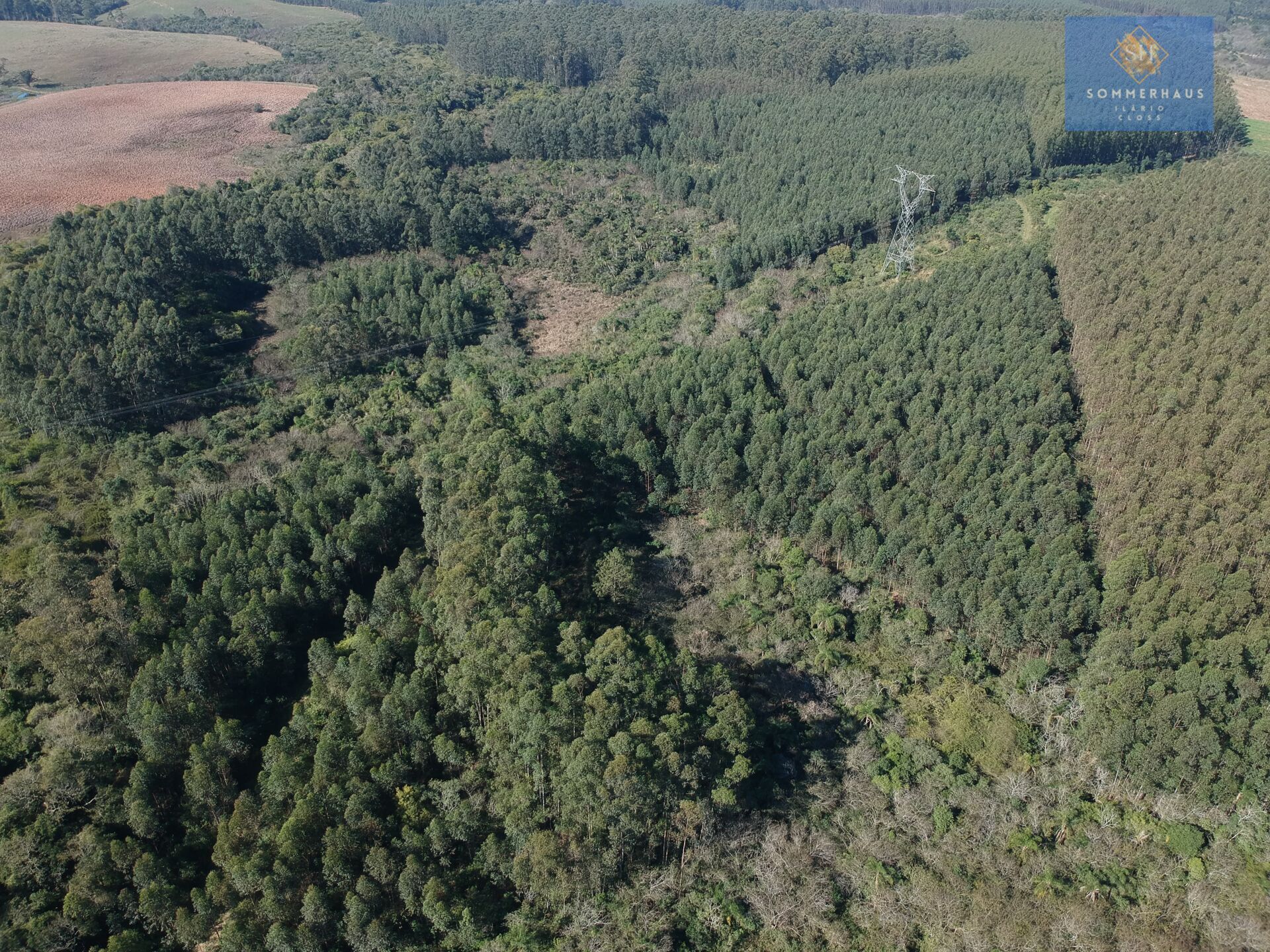 Terreno à venda, 169000m² - Foto 14