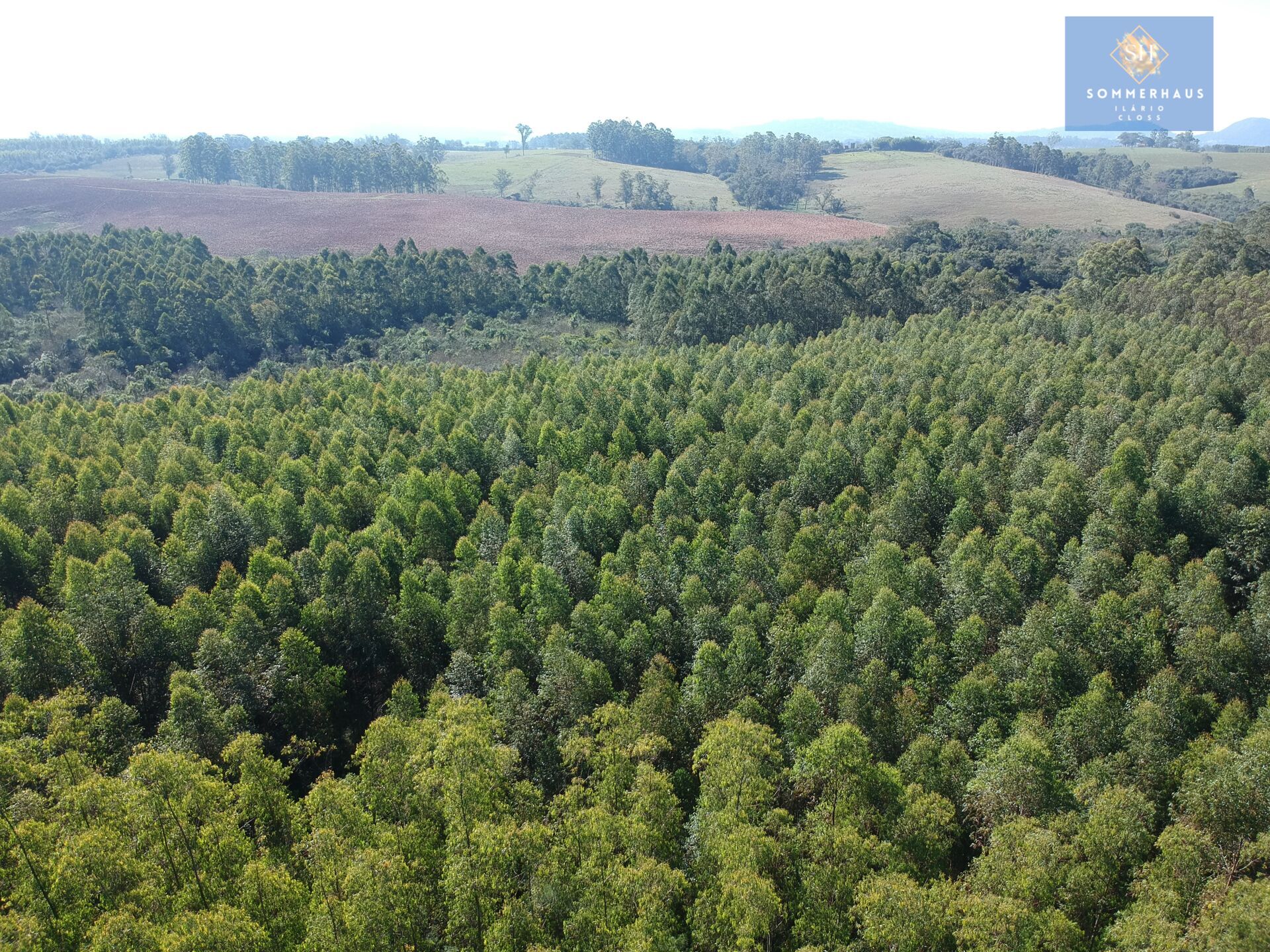 Terreno à venda, 169000m² - Foto 2