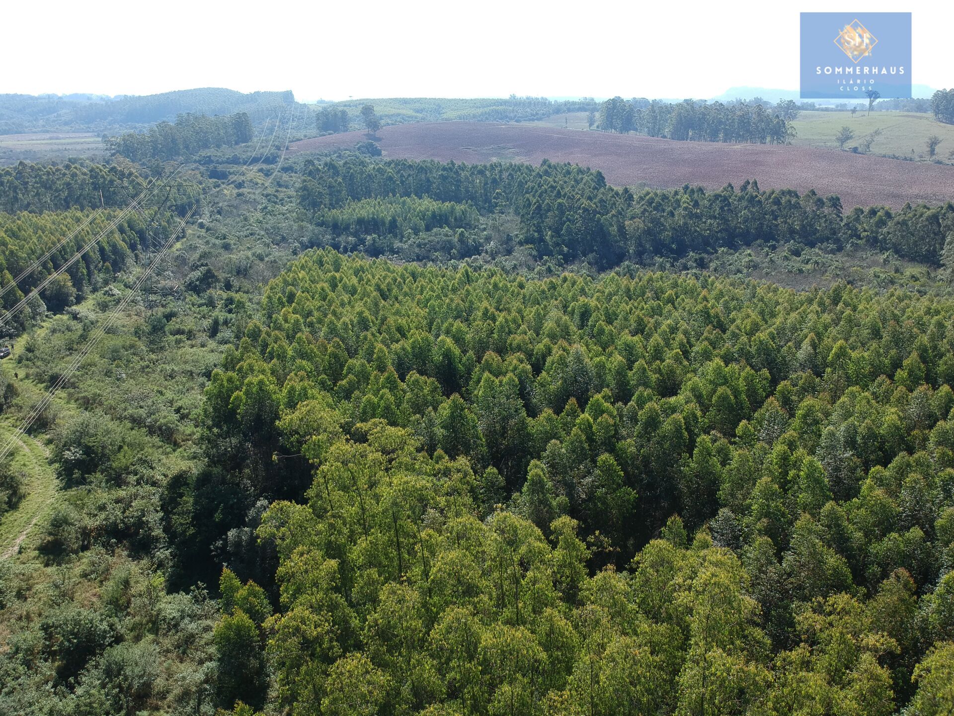 Terreno à venda, 169000m² - Foto 1