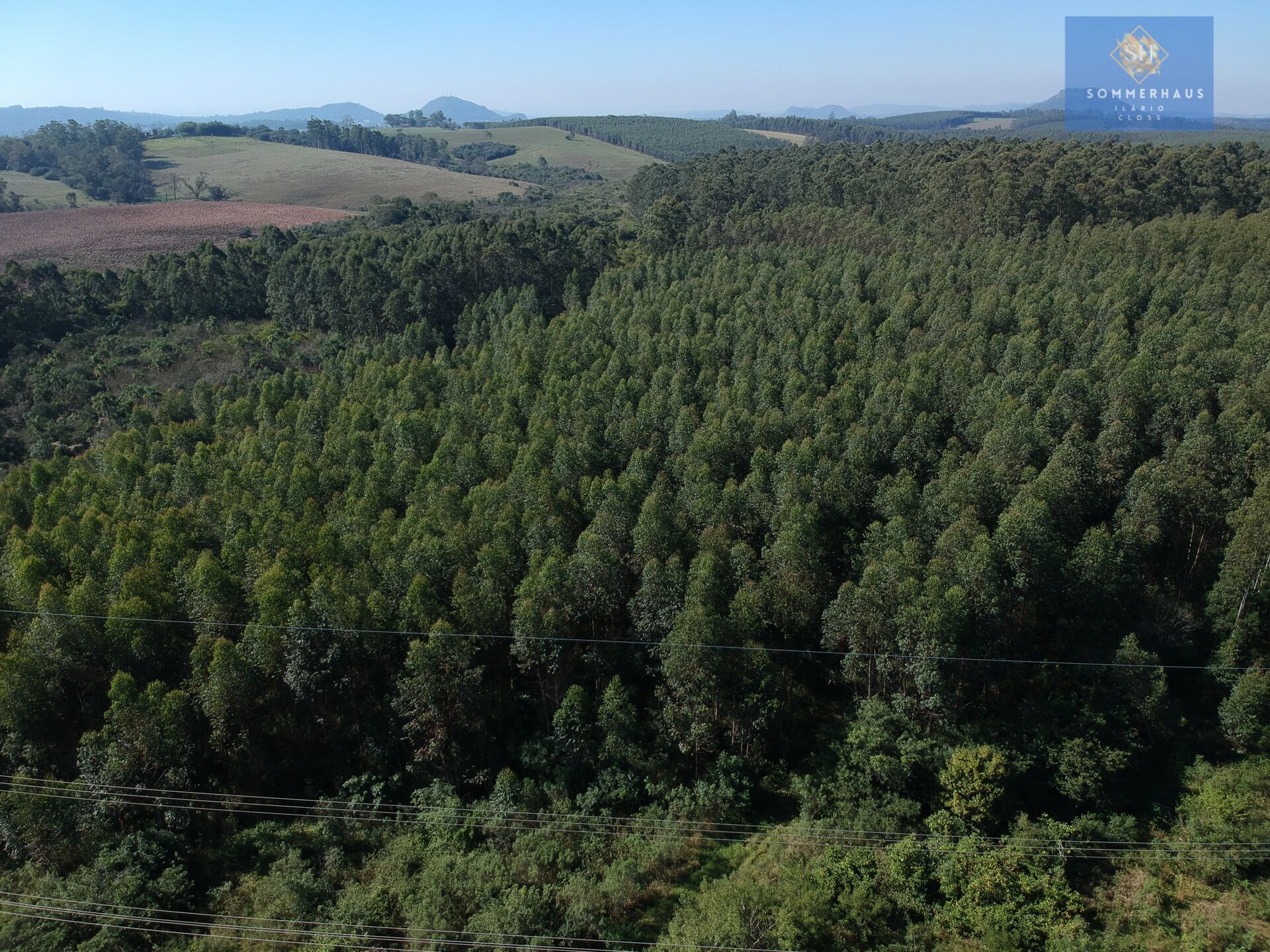 Terreno à venda, 169000m² - Foto 16