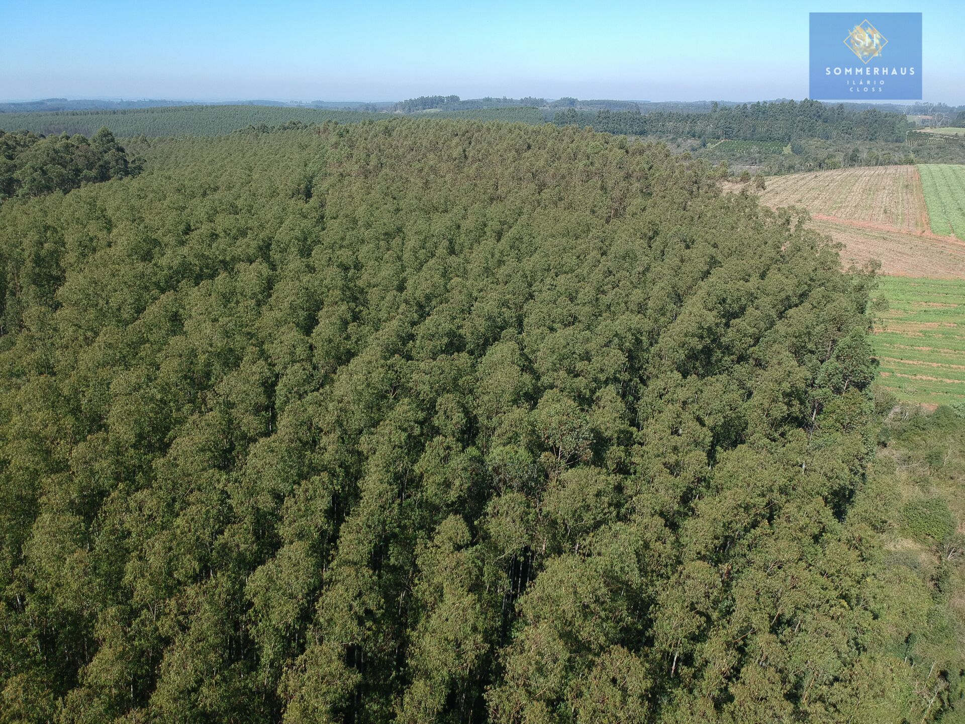 Terreno à venda, 169000m² - Foto 5