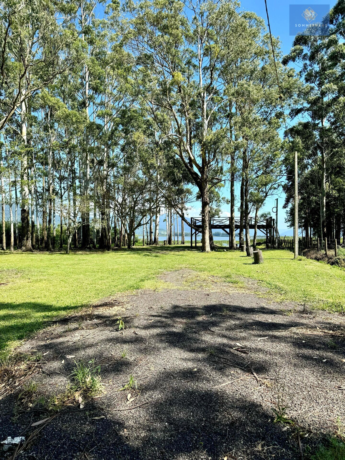 Chácara, 3 hectares - Foto 12