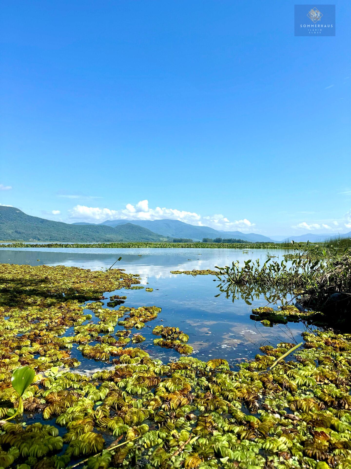 Chácara, 3 hectares - Foto 5