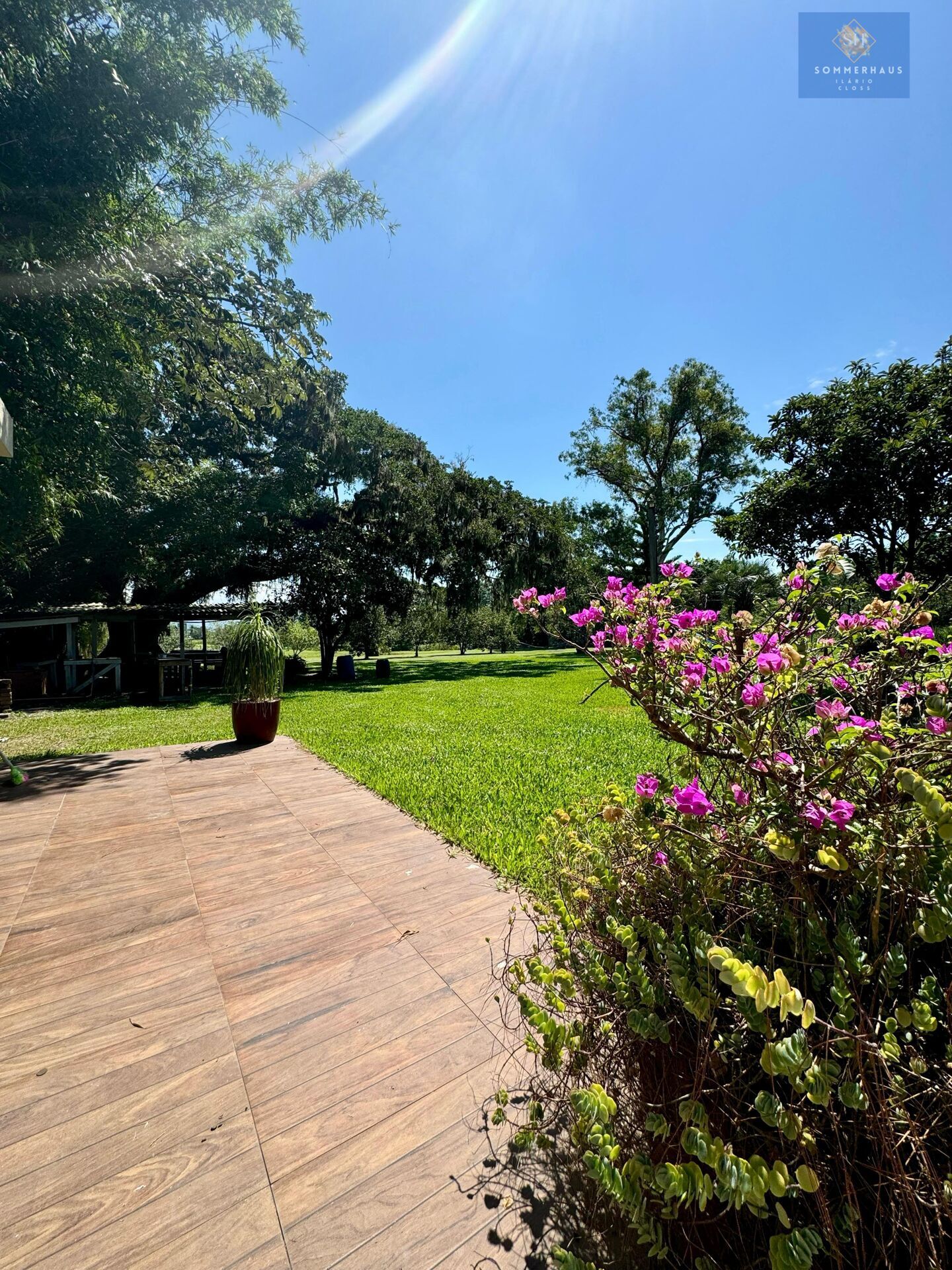 Chácara, 3 hectares - Foto 7