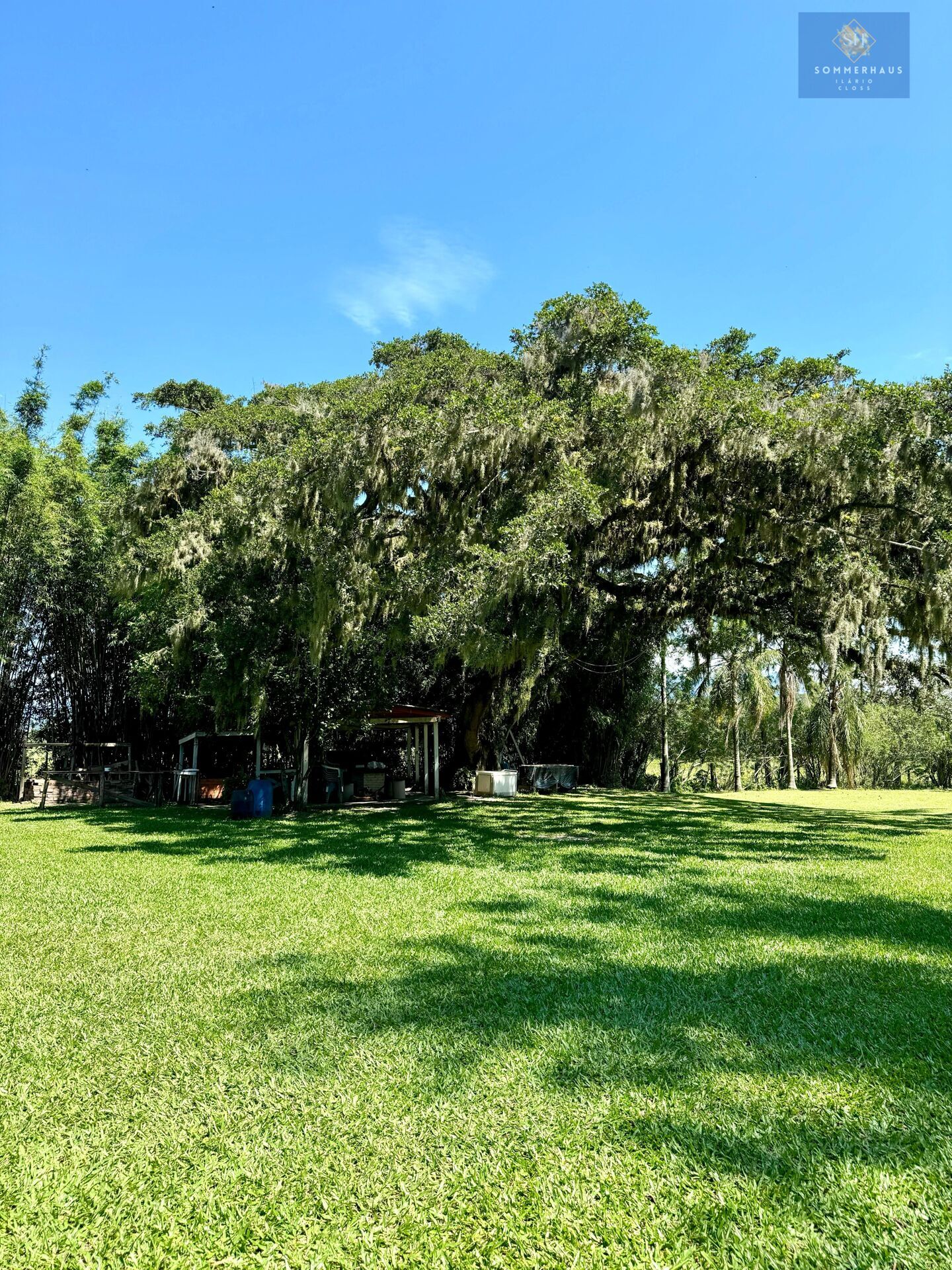 Chácara, 3 hectares - Foto 3