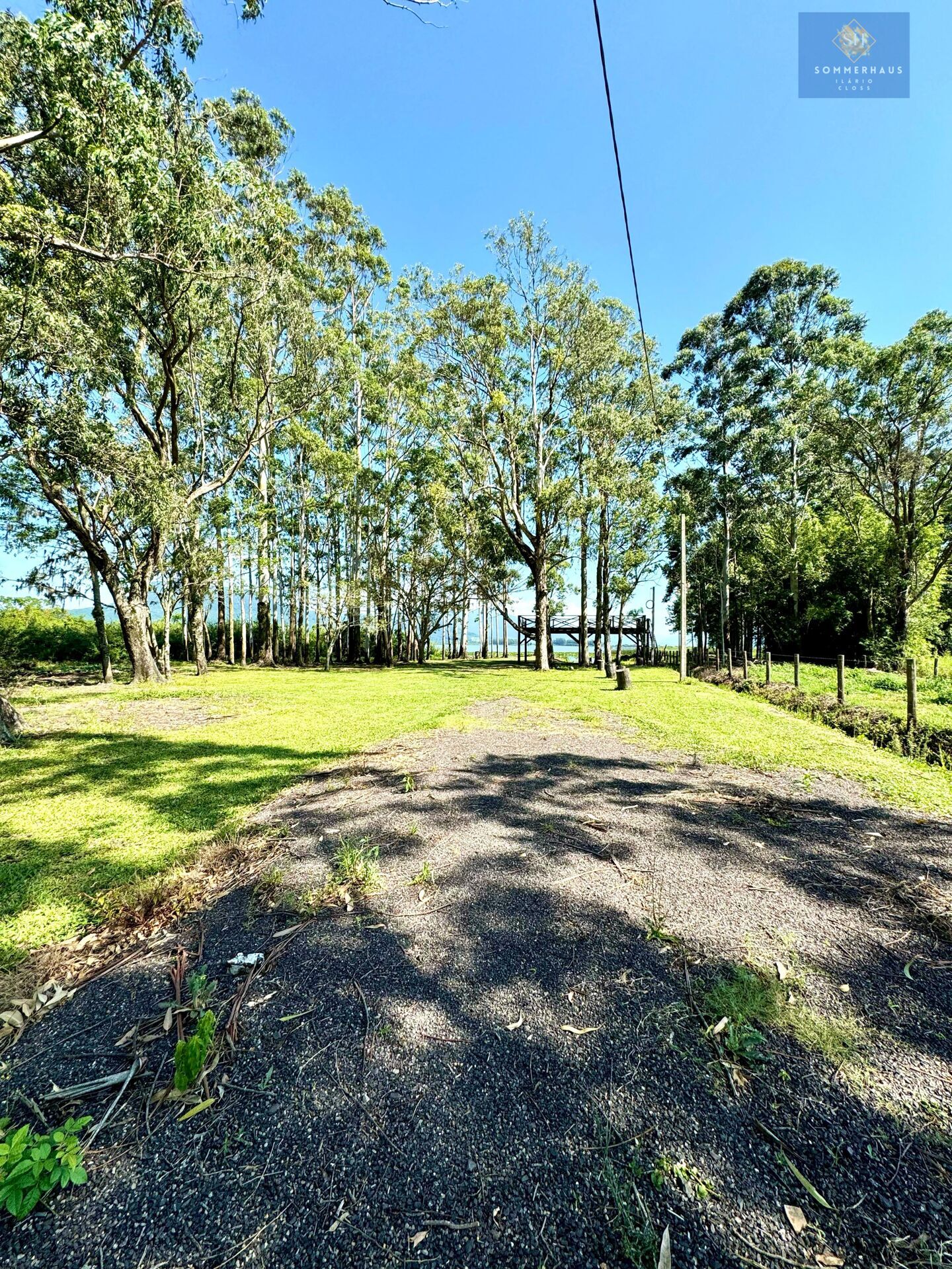 Chácara, 3 hectares - Foto 11