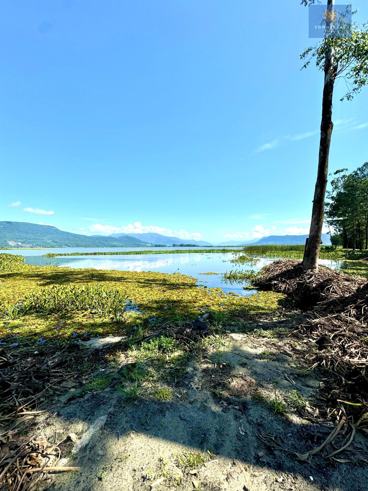 Chácara, 3 hectares - Foto 4