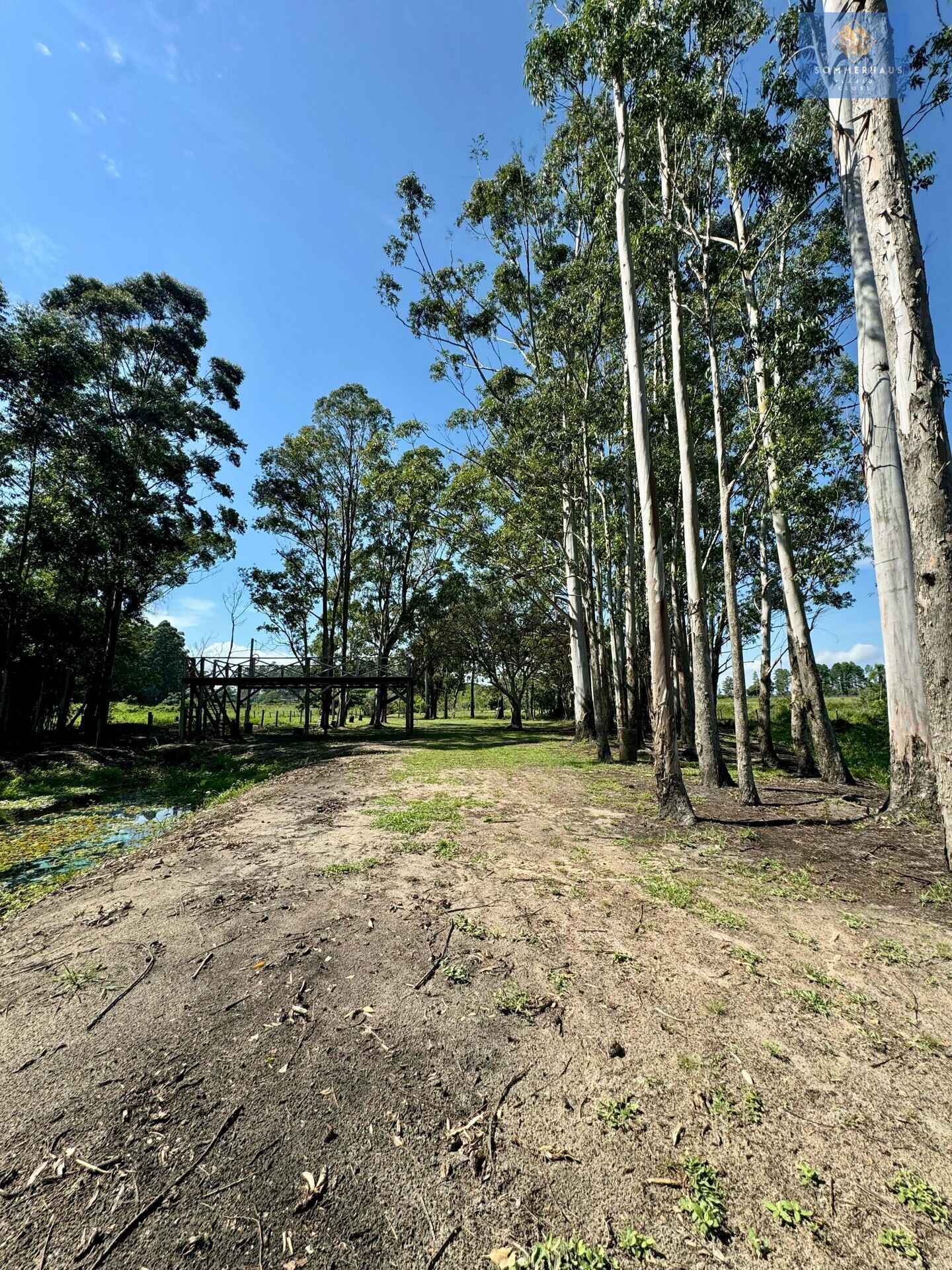 Chácara, 3 hectares - Foto 13