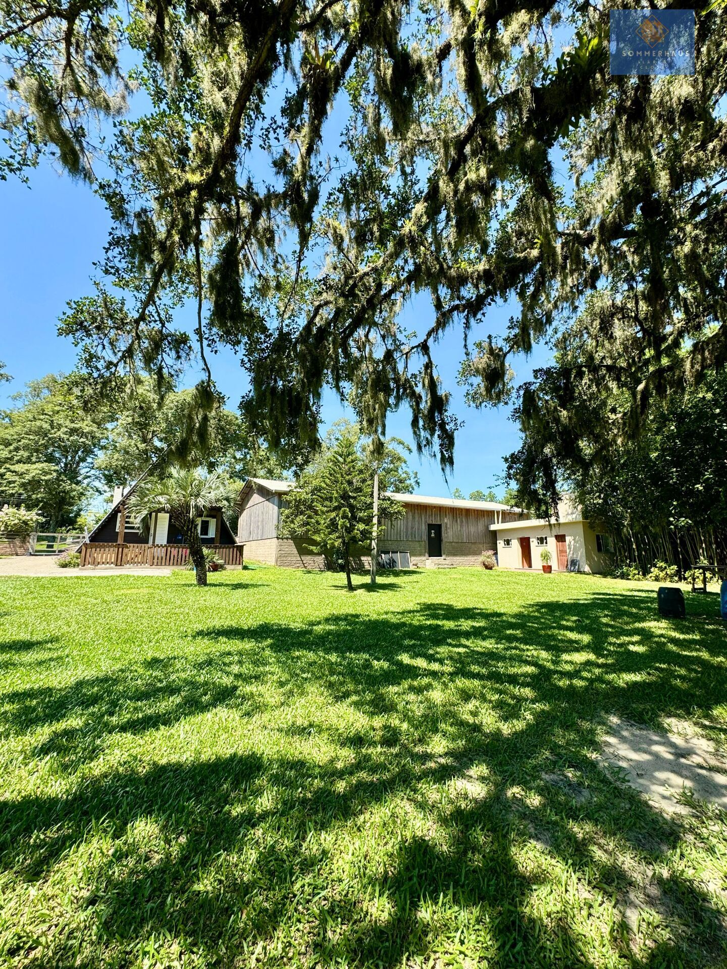 Chácara, 3 hectares - Foto 6