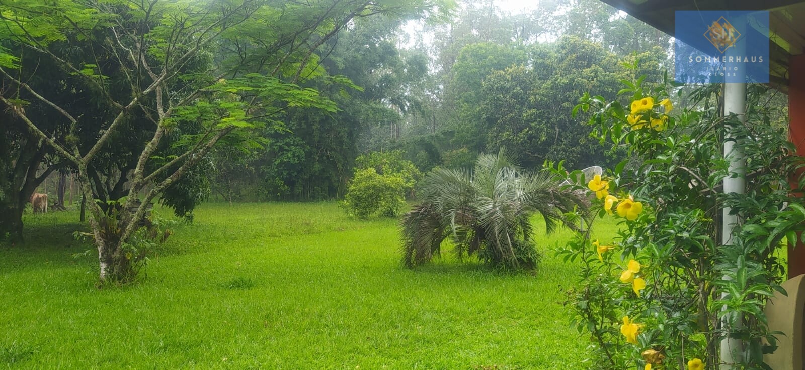 Fazenda à venda com 3 quartos, 8942m² - Foto 3