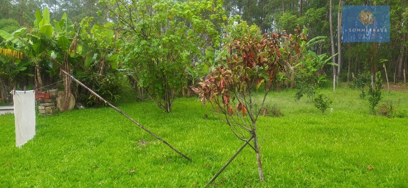 Fazenda à venda com 3 quartos, 8942m² - Foto 6