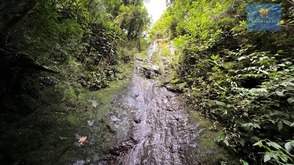 Fazenda à venda, 50000m² - Foto 38